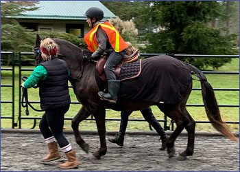 We want you to volunteer at the Salt Spring Therapeutic Riding Association